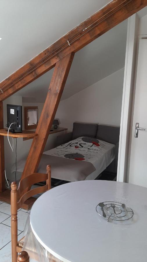 Appartement 3 Personnes Tout Equipe Vosges. Rochesson Bagian luar foto